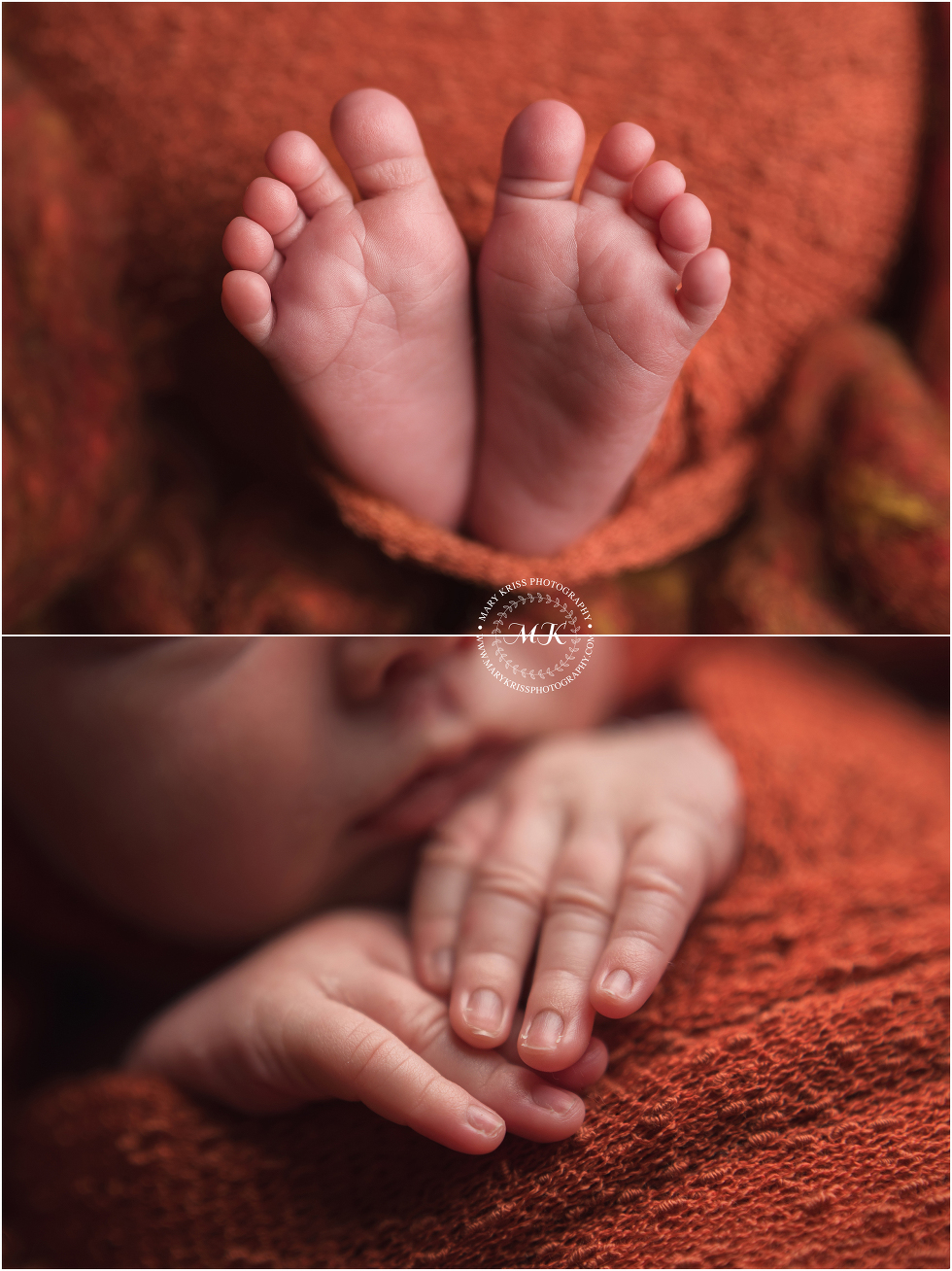Surprise Newborn Photographer - 2